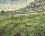Vincent Van Gogh Green Wheat Field (nn04) France oil painting reproduction
